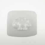 Dinosaur Mold - The Bath Time