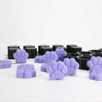 Mini Paw (X10) Bath Bomb Mold - The Bath Time