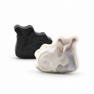 Snail with Skull Bath Bomb Mold