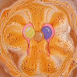 Balloons Bath Bomb Mold