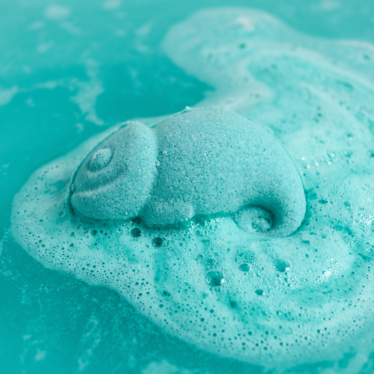 Cameleon Bath Bomb Mold