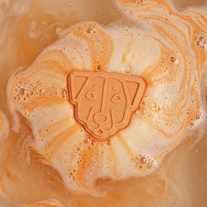 Jack Russell Dog Bath Bomb Mold