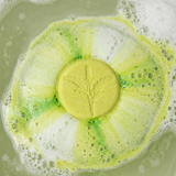 Lavender Round Bath Bomb Mold