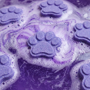 Mini Paw (X10) Bath Bomb Mold