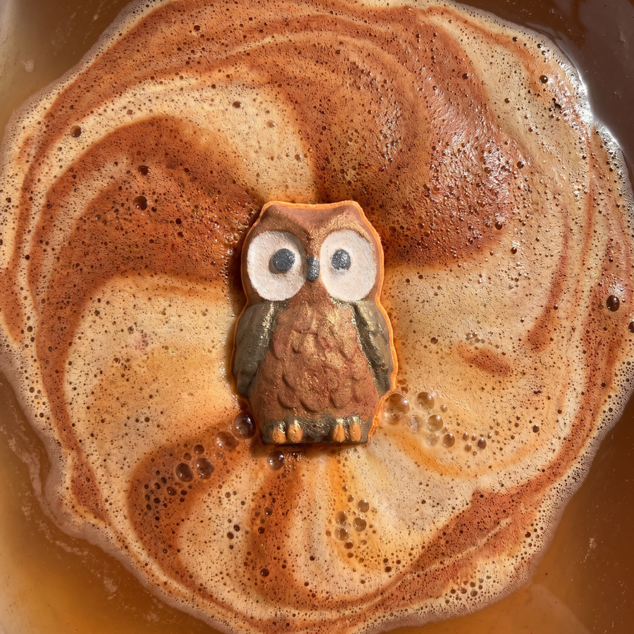 Owl Bath Bomb Mold