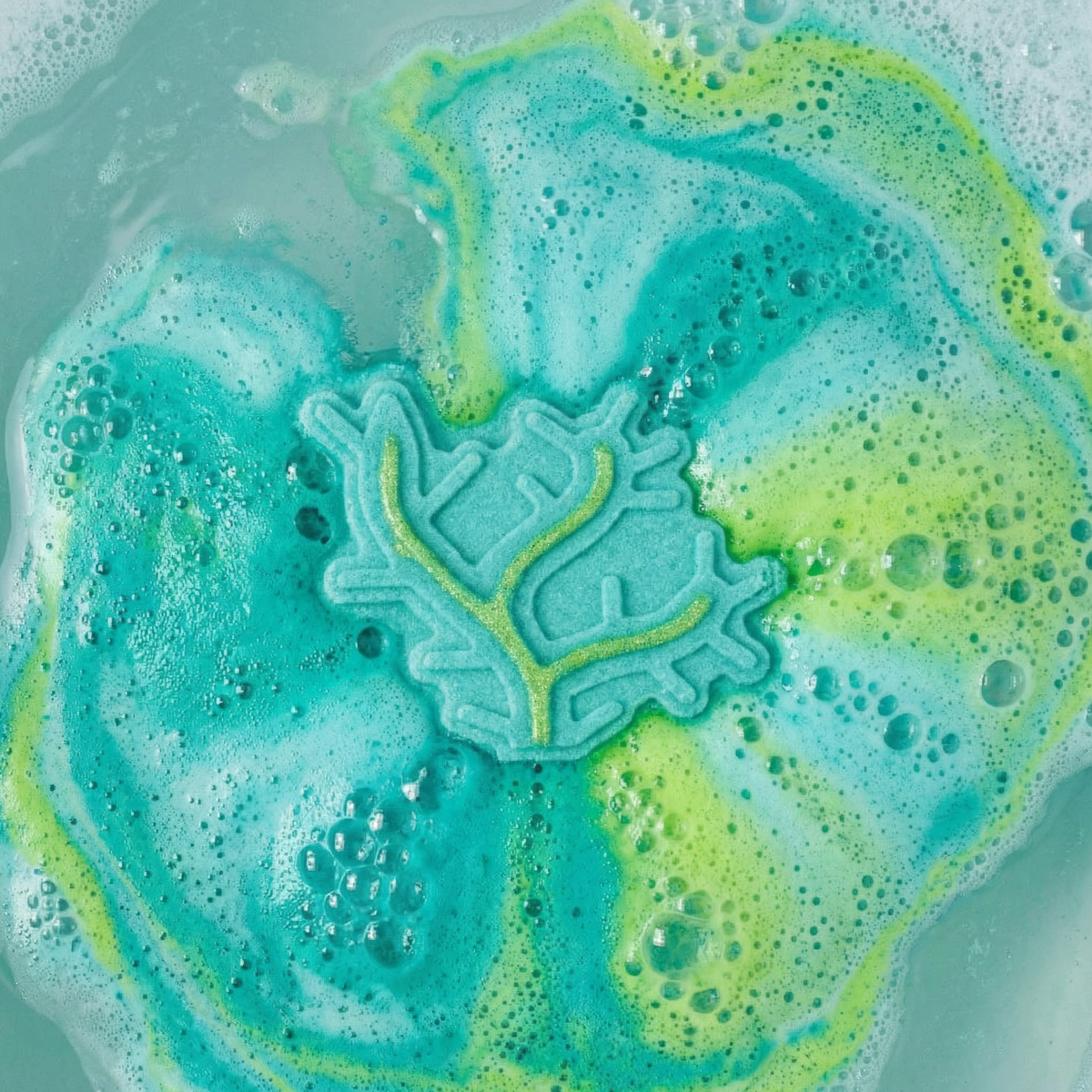 Plant Bath Bomb Mold