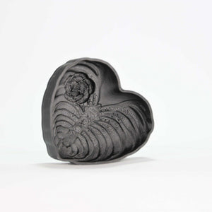 Bones Heart Bath Bomb Mold - The Bath Time