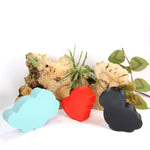 Dinosaur Family Bath Bomb Mold - The Bath Time