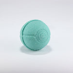 Pokeball Bath Bomb Mold - The Bath Time