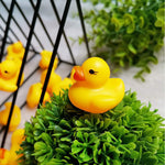 Rubber Ducky Toy - The Bath Time