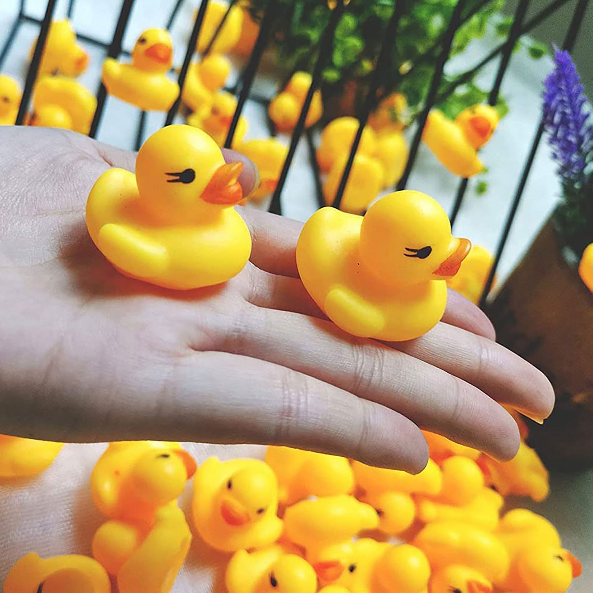 Rubber Ducky Toy - The Bath Time